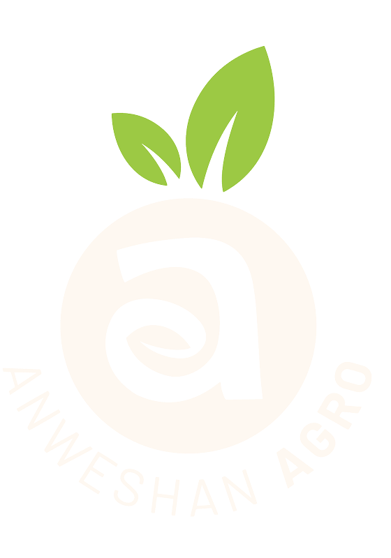 Anveshan Agro Logo